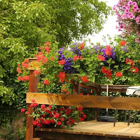Bed & Breakfast Vermeesch Oda ve Kahvaltı